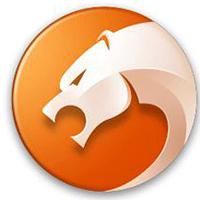 猎豹安全浏览器 8.0.0.22121 官方版
