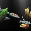 梦幻水族馆动态屏保 电脑版1.234 汉化版