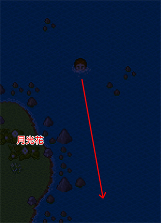 无人岛大冒险2最新版下载 v2.3.1.0