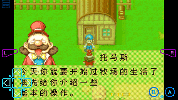 牧场物语矿石镇的伙伴们手机版下载 v2.0.0