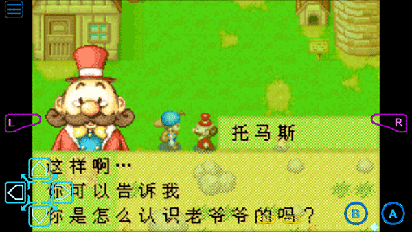 牧场物语矿石镇的伙伴们手机版下载 v2.0.0