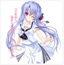 夏日口袋安卓版下载 v1.0.5
