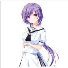 夏日口袋安卓版下载 v1.0.5
