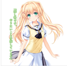 夏日口袋安卓版下载 v1.0.5