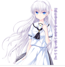 夏日口袋安卓版下载 v1.0.5