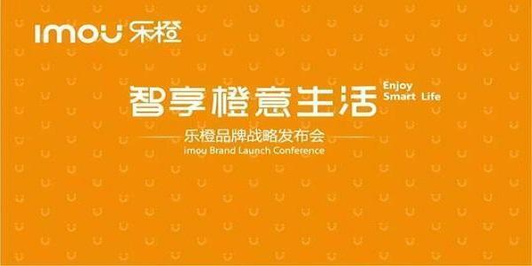 大华乐橙电脑客户端 5.11.6.0 最新版