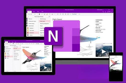 OneNote Microsoft OneNote 电脑版 2021 官方版